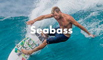 Seabass