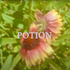 Potion Surf Video | Luke Worsham